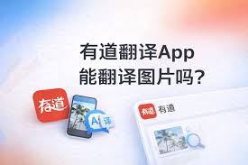 有道翻译价值点