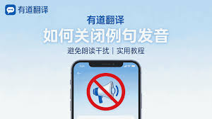 有道翻译价值点