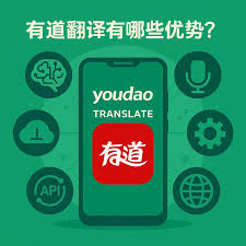 亿人同行，有道视界